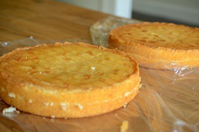 torted-cakes torted cakes