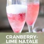 pin image for cranberry-lime natale sparkler