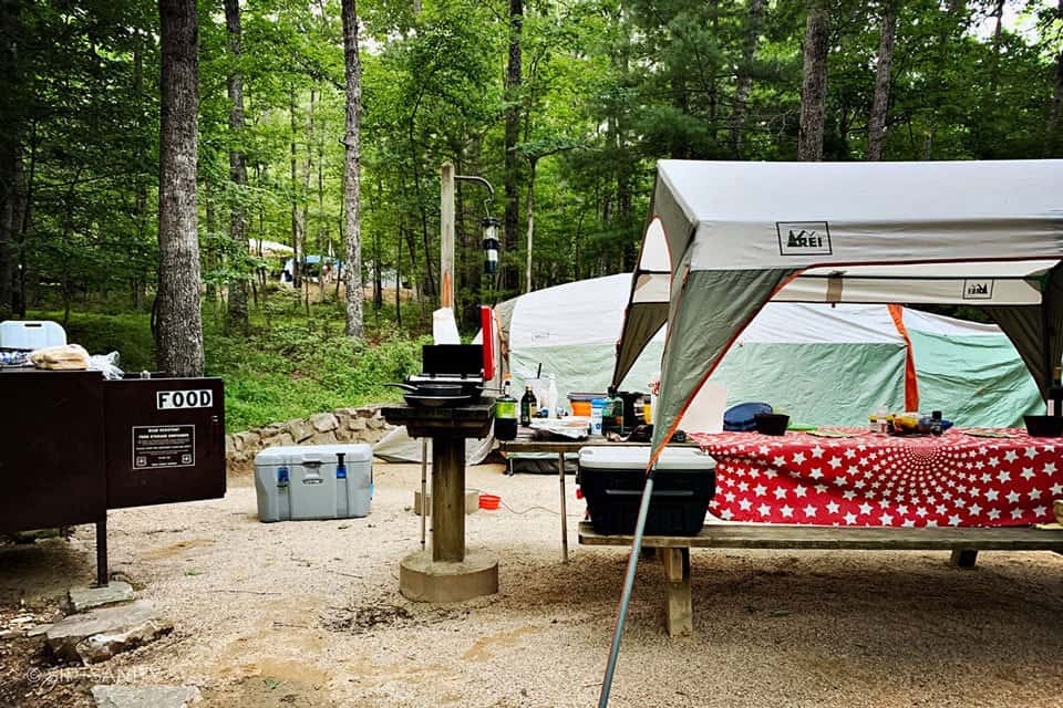 wine country campsite with picnic table, tent and canopy