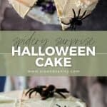 pin image for marshmallow spiderweb halloween cake