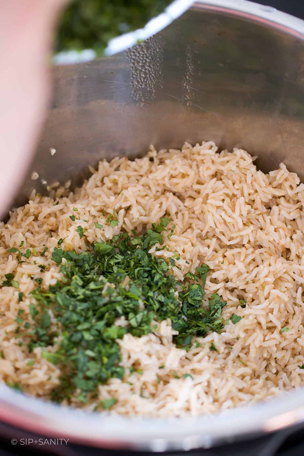 Cilantro being added to cooked brown rice.