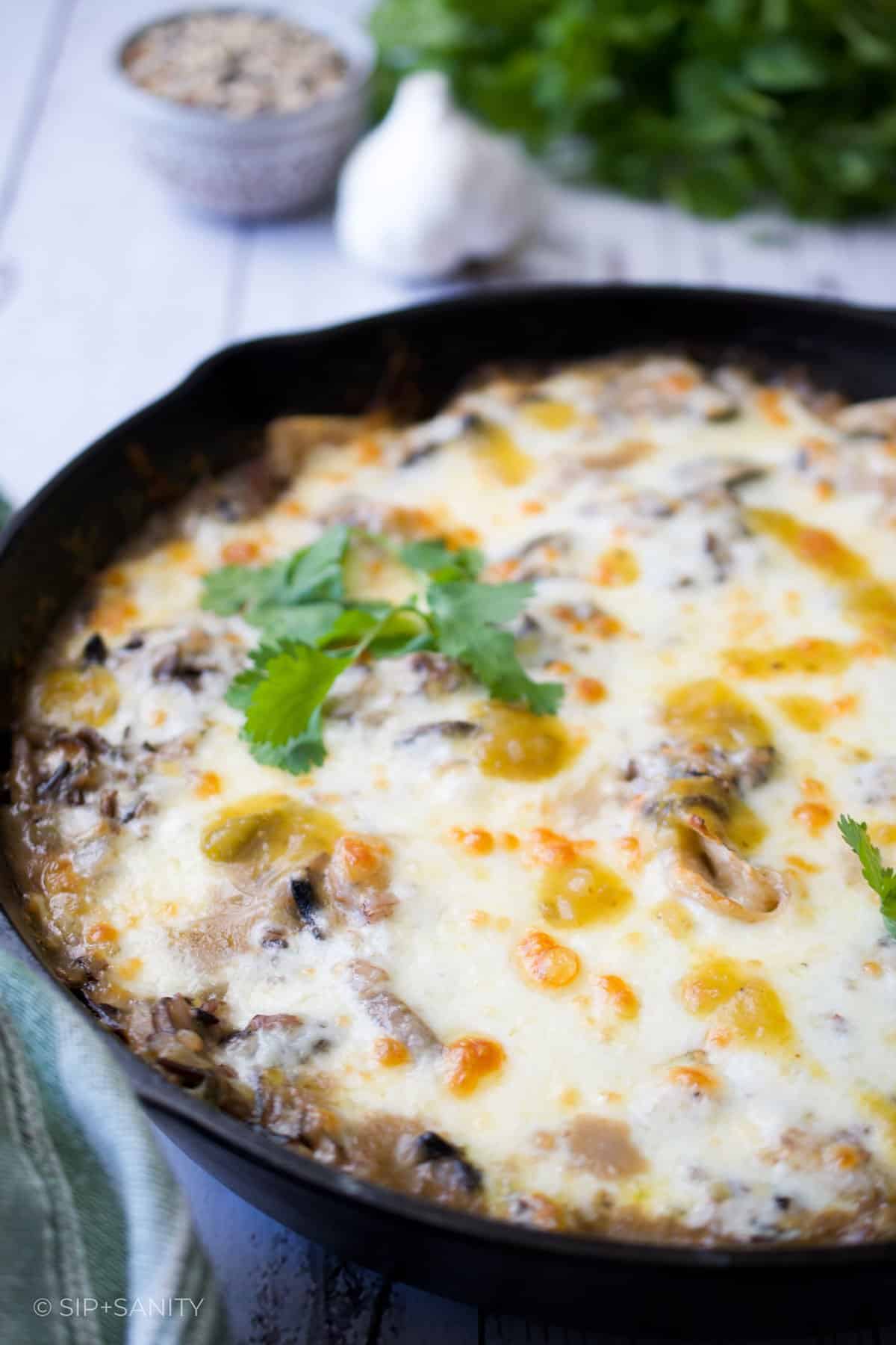 Cheese topped mushroom and wild rice enchilada casserole in a cast iron skillet.