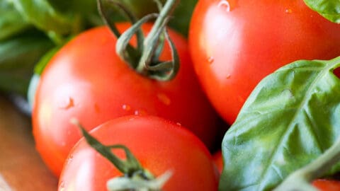 FI-tomato-basil-bisque-480x270.jpg