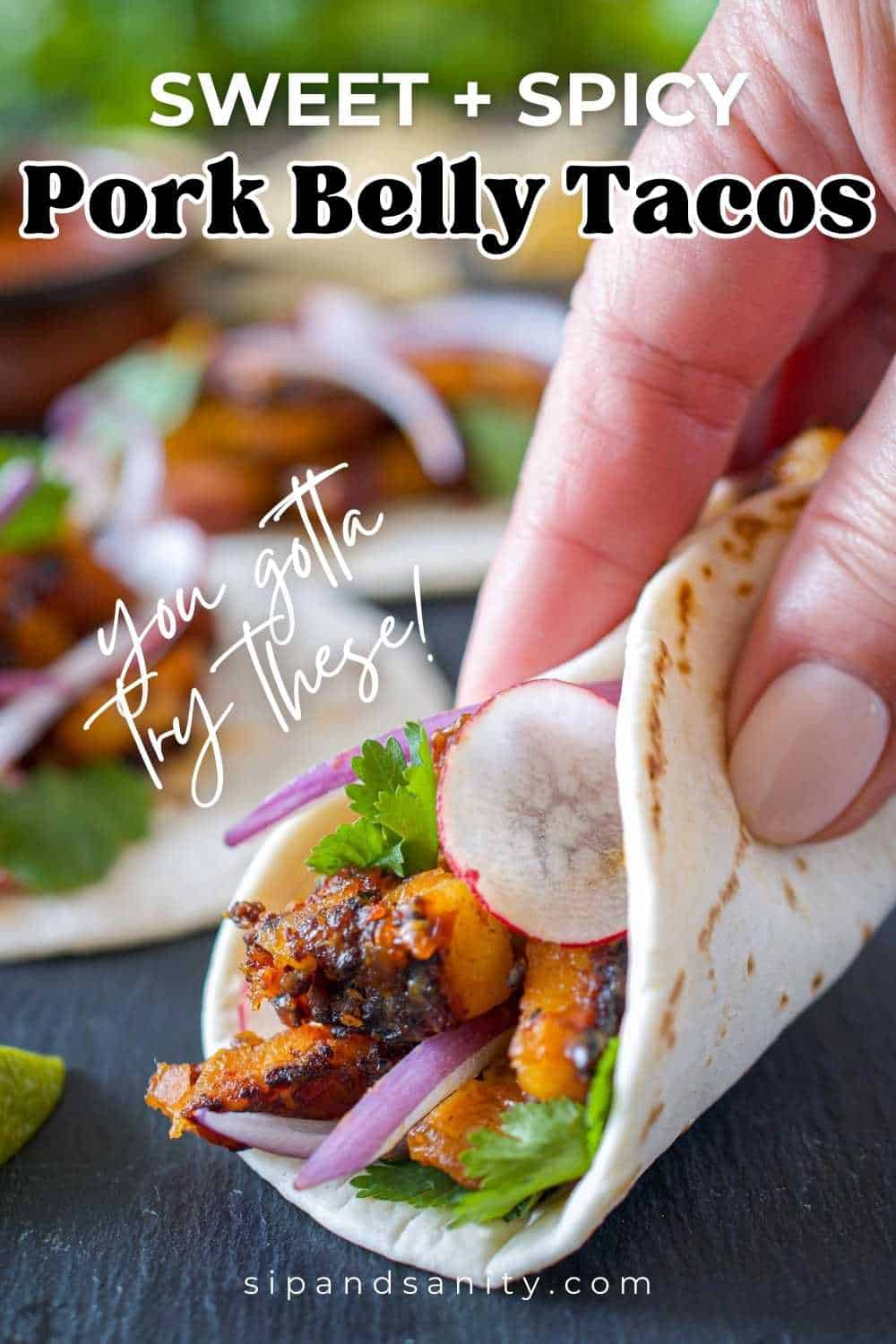 Pin image for pork belly tacos.